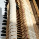 춘산초등학교 이미지