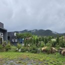 화원스테이지 이미지