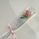 11545-10-00-16 | [임신]00년생 예비 말띠맘의 임신초기,중기 증상(?)