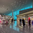 T001 | 풀리오 전신마사지기 마사지매트 후기 면세점 구입