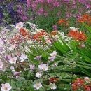 부흥초교 이미지