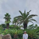 건강과성박물관 제주 이미지