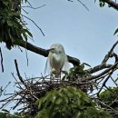 중유초등학교 이미지