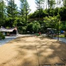 돌집야영장 이미지