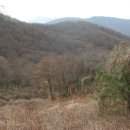 성산농원 이미지