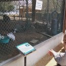 북삼초교(병설) 이미지