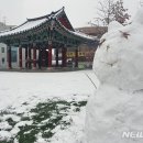 춘천시청 이미지