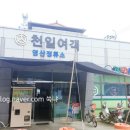 천일여객 영산정류소 이미지