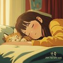 뚱이양이