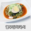 유연국시 | 플래노프 싹싹 열무김치국시 여름 입맛 살리는 초간단 냉면 세트 솔직 후기