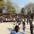 남이섬 봄펜션 이미지