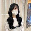 메르시(merci beauty)
