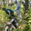 초롱꽃공원 이미지