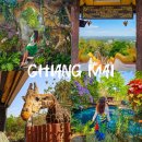 커피 마시는 코끼리 | 치앙마이 여행 시기 4박6일 일정 코끼리투어 카페 패키지 추천