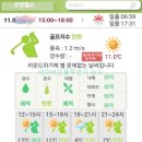 월송리CC OUT 코스 | 우정힐스CC 후기 out, in코스 2025년 11월초 중식, 드라이빙레인지, 라운드