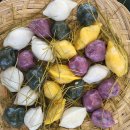 대덕농장1 이미지