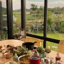 스테이포도시 이미지