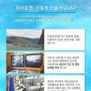 포캣 이미지