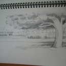 연필스케치(초급) 이미지