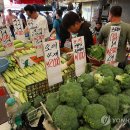 야채가게도;소매