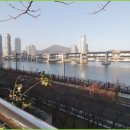 롯데캐슬자이언트아파트 이미지