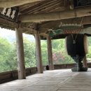 봉정사국화마을 이미지