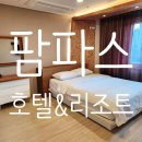 팜파스리조트 | 속초가족숙소 팜파스호텔&amp;리조트 골드클래스A 숙박 후기