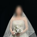 틴트라운지 | [공지] 아이웨딩 박람회 청담 라운지 페스타 후기 (로즈로사 피팅, 계약O) 지정혜택, 플래너 상담