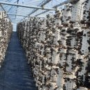 우리손 진안농장 이미지