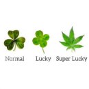 럭키수퍼 이미지