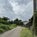 선흘다움 이미지