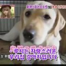 하이디 - 경산시 원효로32길 11 | 하이디