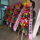 효돈생활체육관 이미지