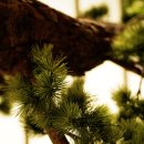 클림의원 이미지