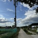 윤우농장 | [청주] 핑크 뮬리가 가득 있는 포레스트 이색 카페 “ 더 다락 농장 식물카페 ”