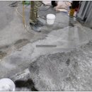 경성수지 이미지