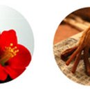 (주)스킨네이처 이미지