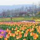 한강시민공원(자연학습장) 티스토리