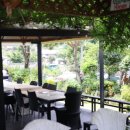 파르데스 이미지