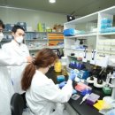 매일헬스케어 이미지