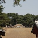 여주-1101 이미지