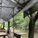 다람쥐마을 이미지