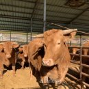 종신농장 이미지