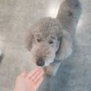 이마트 죽전점 몰리스 이미지