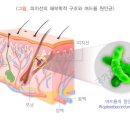 경희동서한의원 이미지
