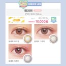 경기안경콘택트 이미지