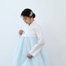 더카멜리아