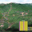 유명산자연휴양림 이미지