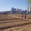 남양주시농업기술센터 이미지