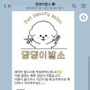 댕댕이발소 이미지
